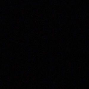 Meet your Posher, Brady